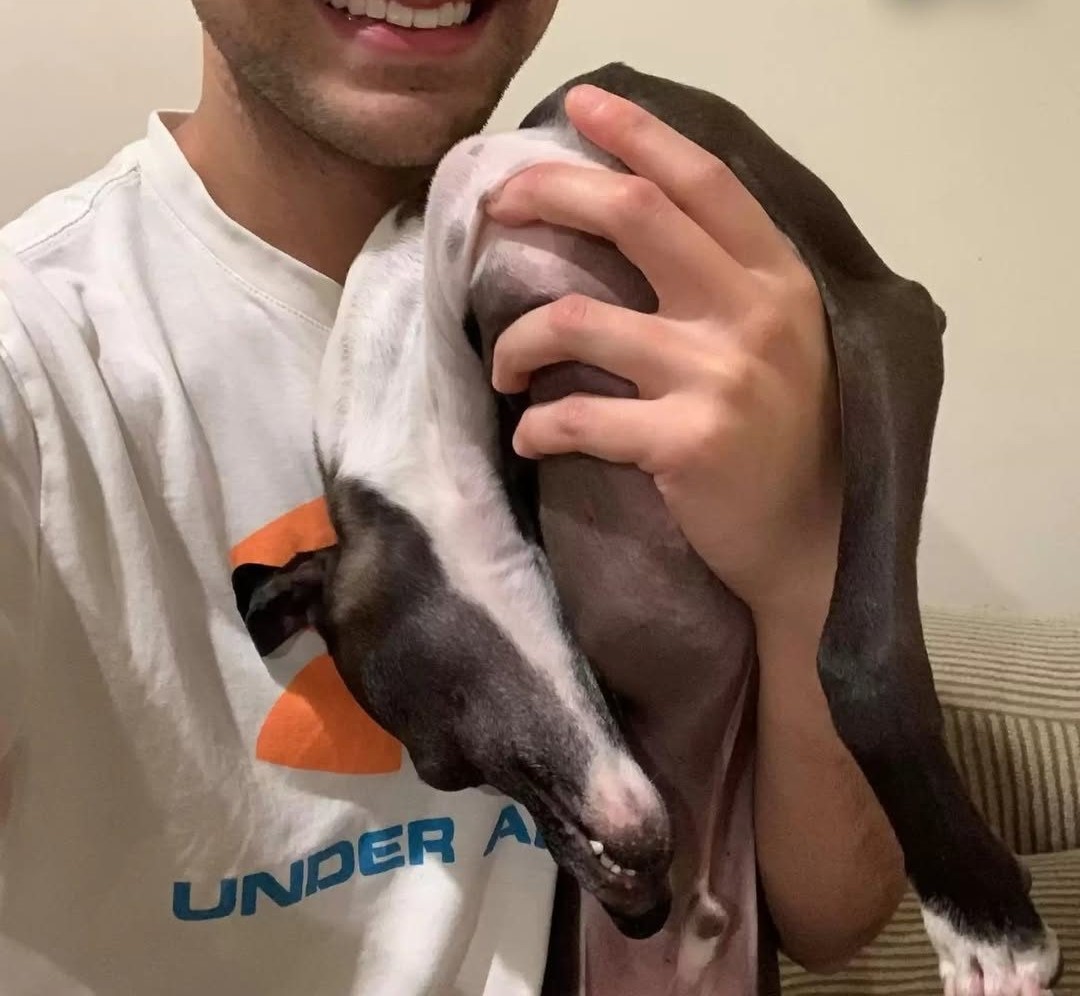 Stubborn Dog Turns To Jell-O Anytime His Dad Tries To Take A Picture