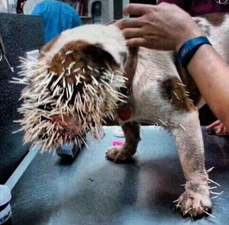 Heartbreaking and moving scene unfolded