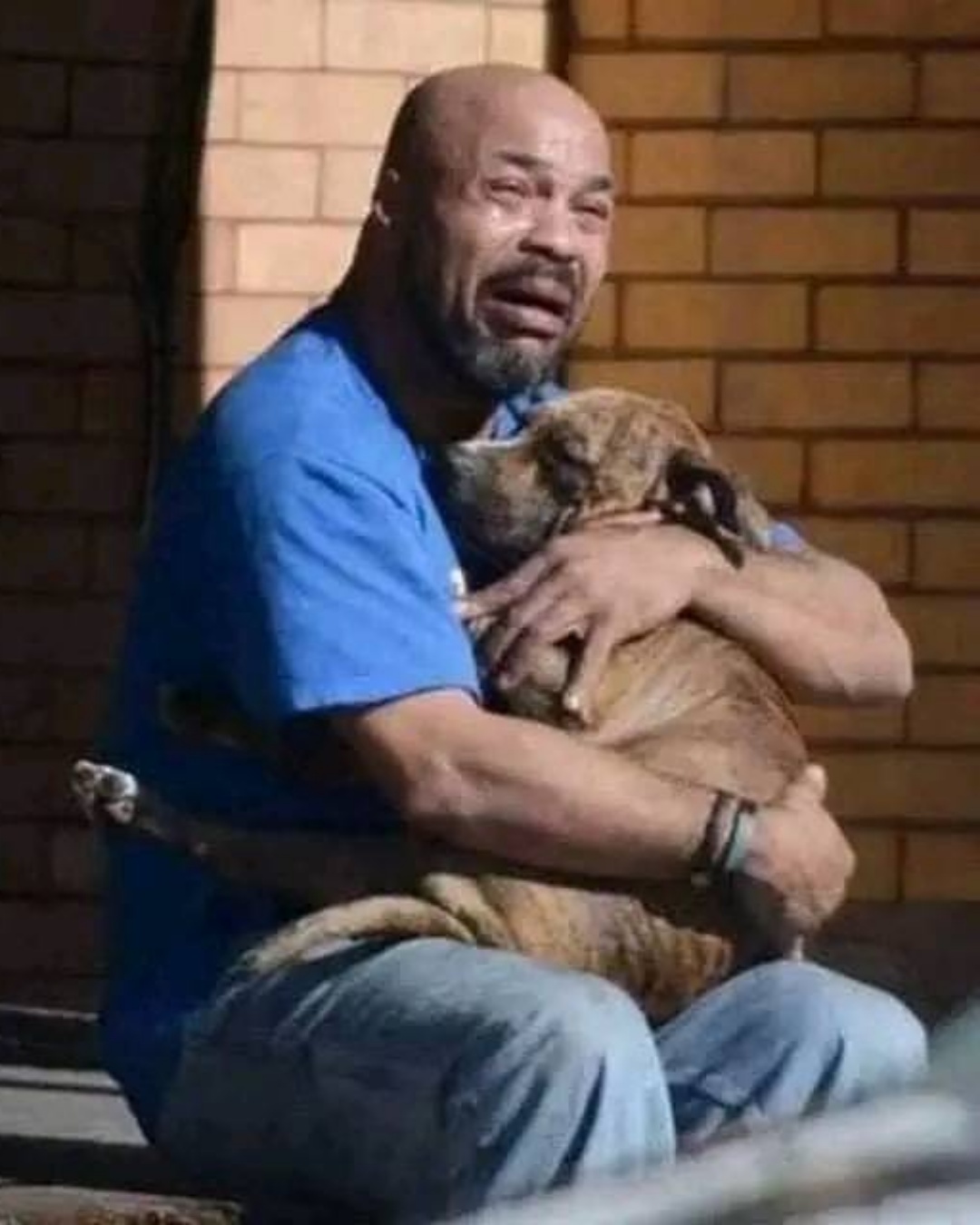 A Dog’s Last Letter: “Please Don’t Cry for Me”.