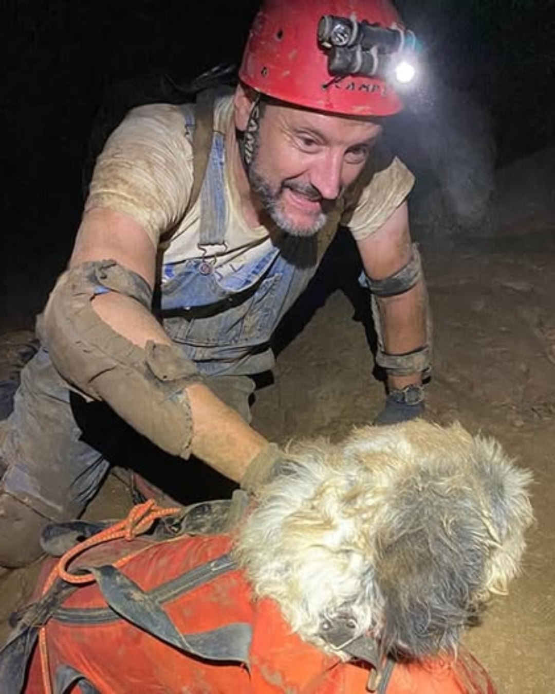 A Poodle’s Miraculous Return: 500 Feet Underground for Two Months.