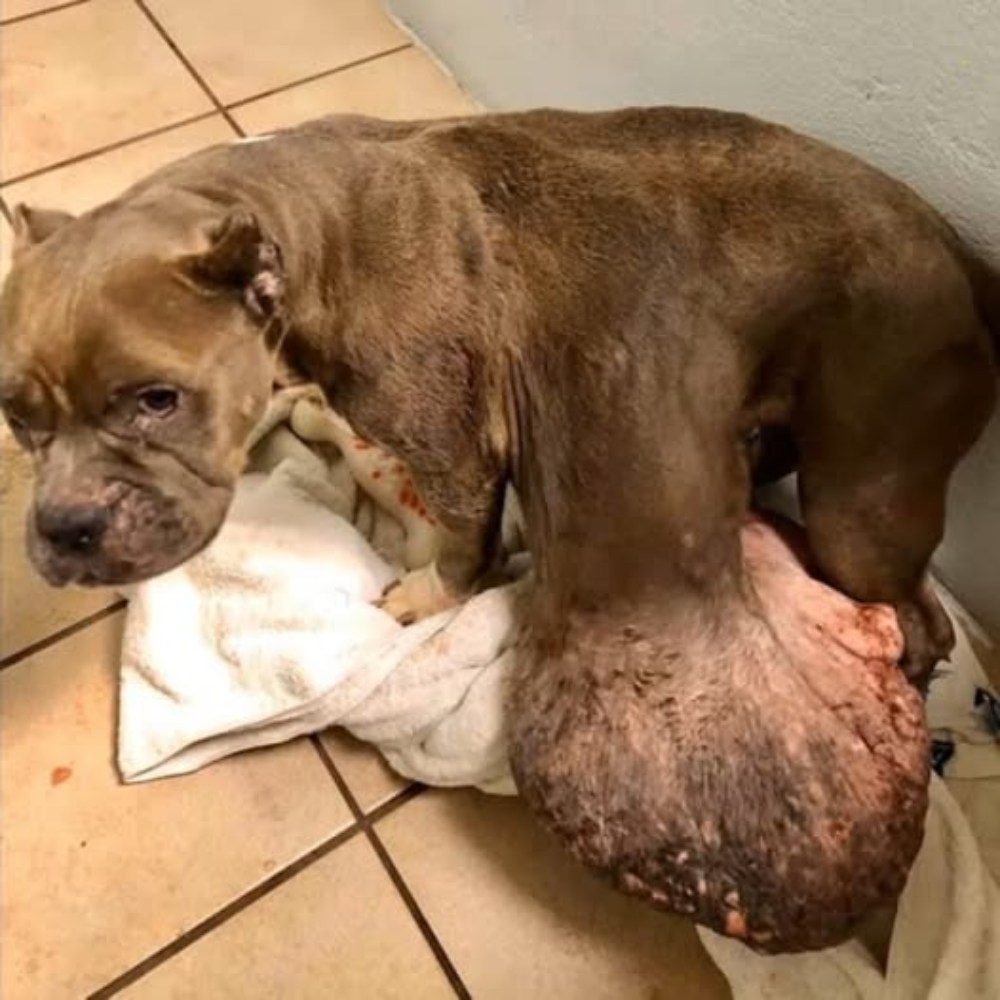 The pain that seemed to have no end… until hope appeared.