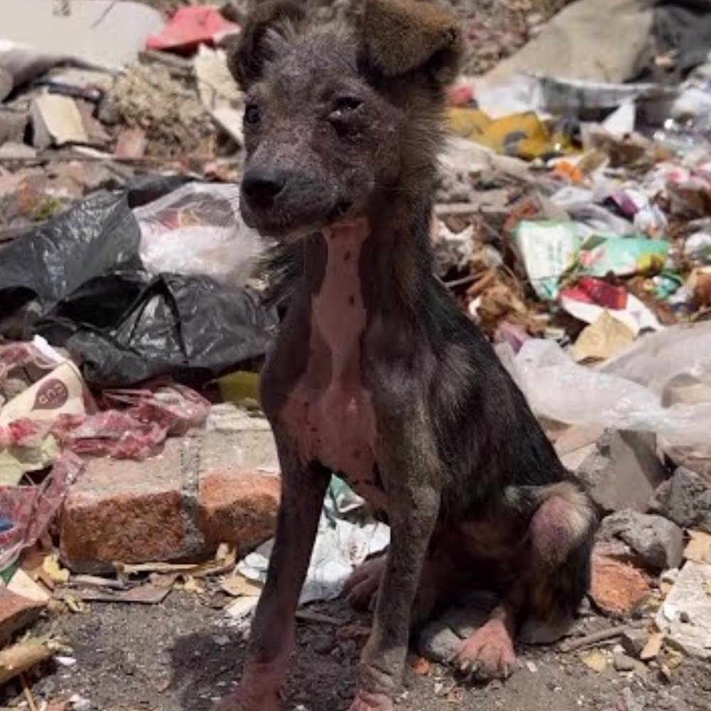 “I just want to get my fill once… please let someone see me.”