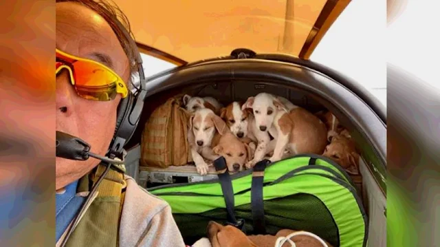 Former Pilot Devotes His Days to Flying Rescued Pets Home
