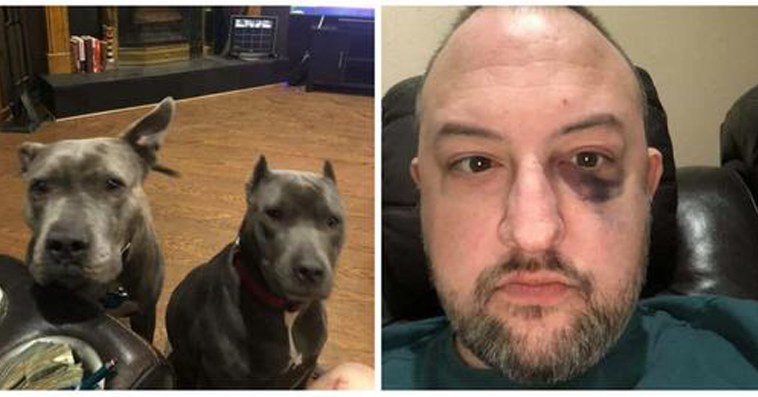 Man adopts unwanted Pit Bulls, later they repay him by saving new Dad’s Life…!