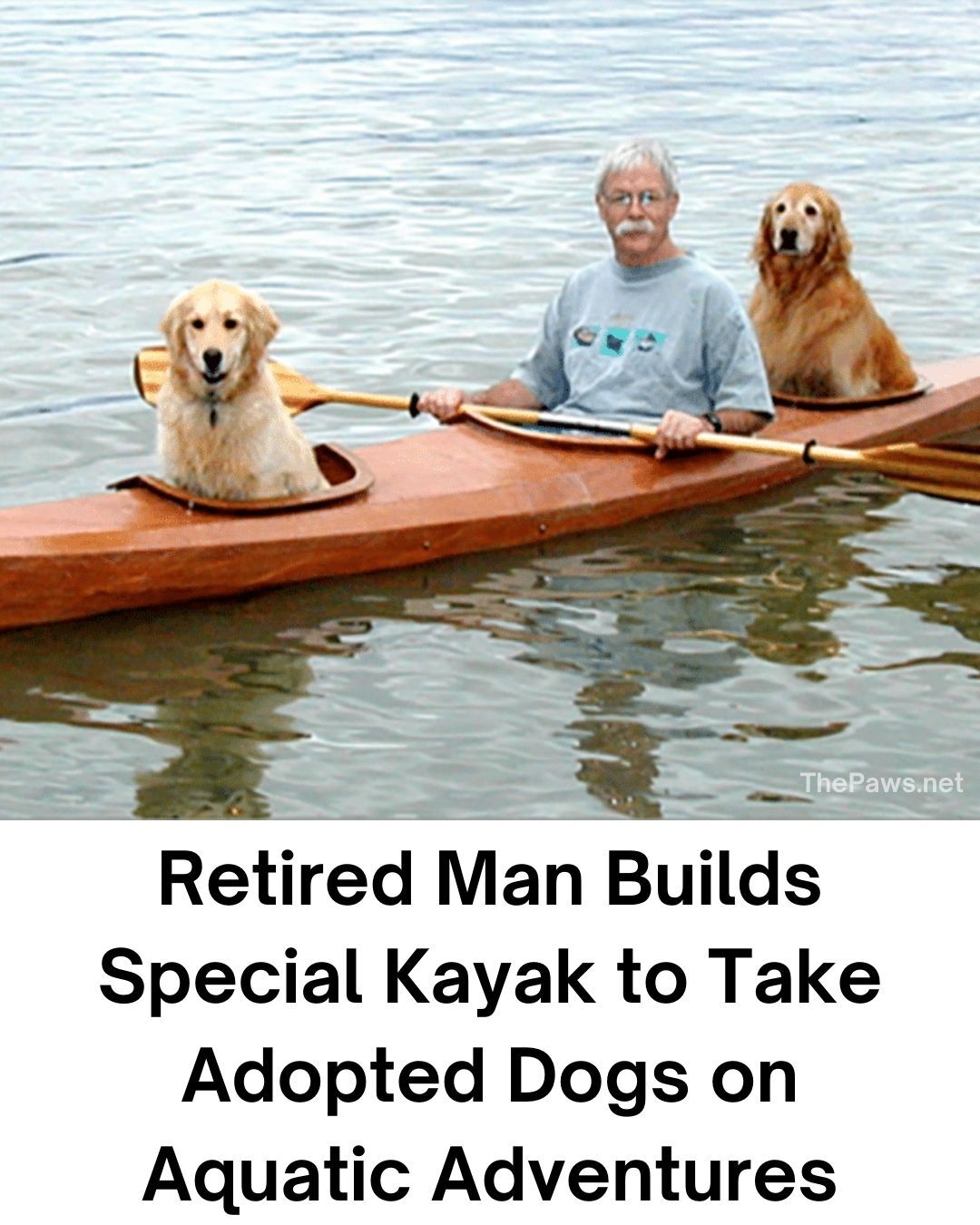 Retired Man Builds Special Kayak to Take Adopted Dogs on Aquatic Adventures