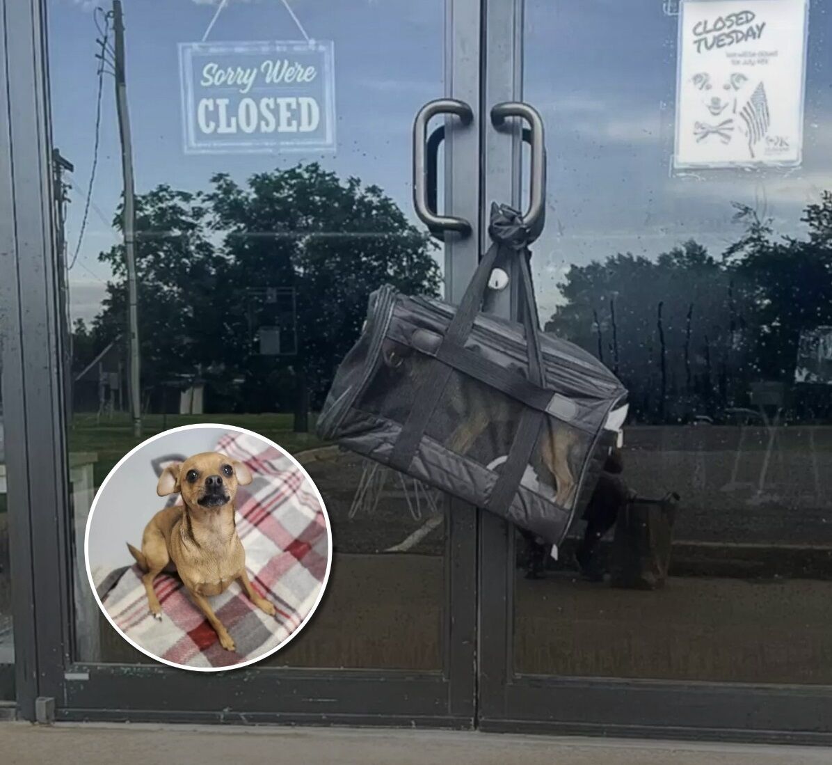 Man Arrives At Work To Find Mysterious Bag On Door Handle
