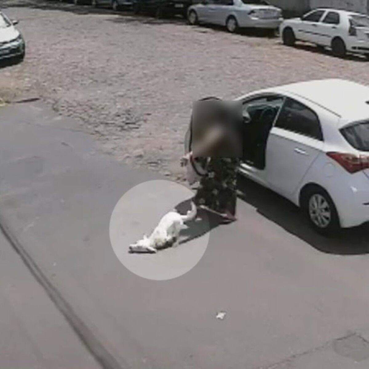 “Get out of my car,” the crippled dog cried as he ran after his owner’s car