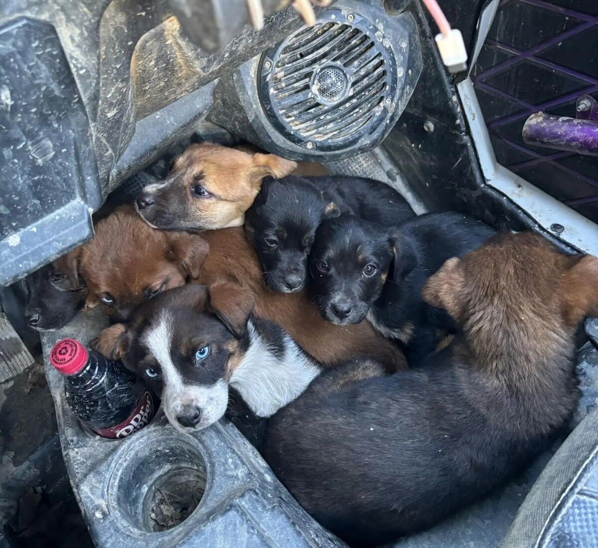 Couple Riding ATVs Realizes Little Family Is Chasing Them, Asking For Help