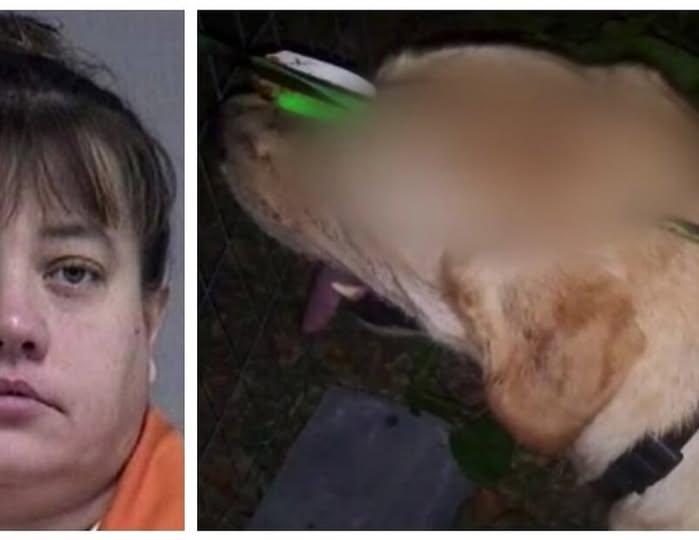Woman Arrested After Shooting Dog In Head With Crossbow