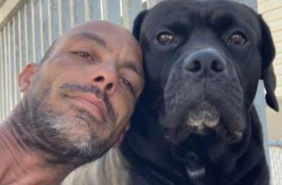 Heartbroken Woman Seeks Missing Dog Who Fled Deadly Crash That Killed Her Fiancé