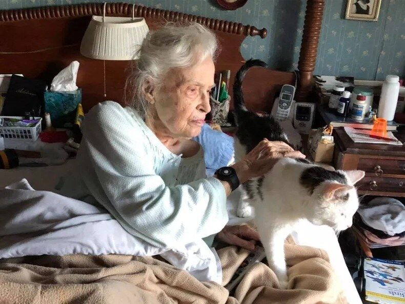 20-Year-Old Cat Gets Adopted By 101-Year-Old Lady – A Match Made In Heaven!