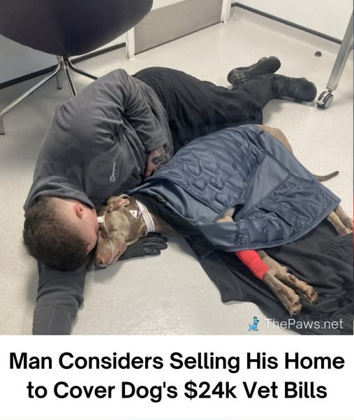 Man Willing to Sell His Home to Save His Beloved Dog