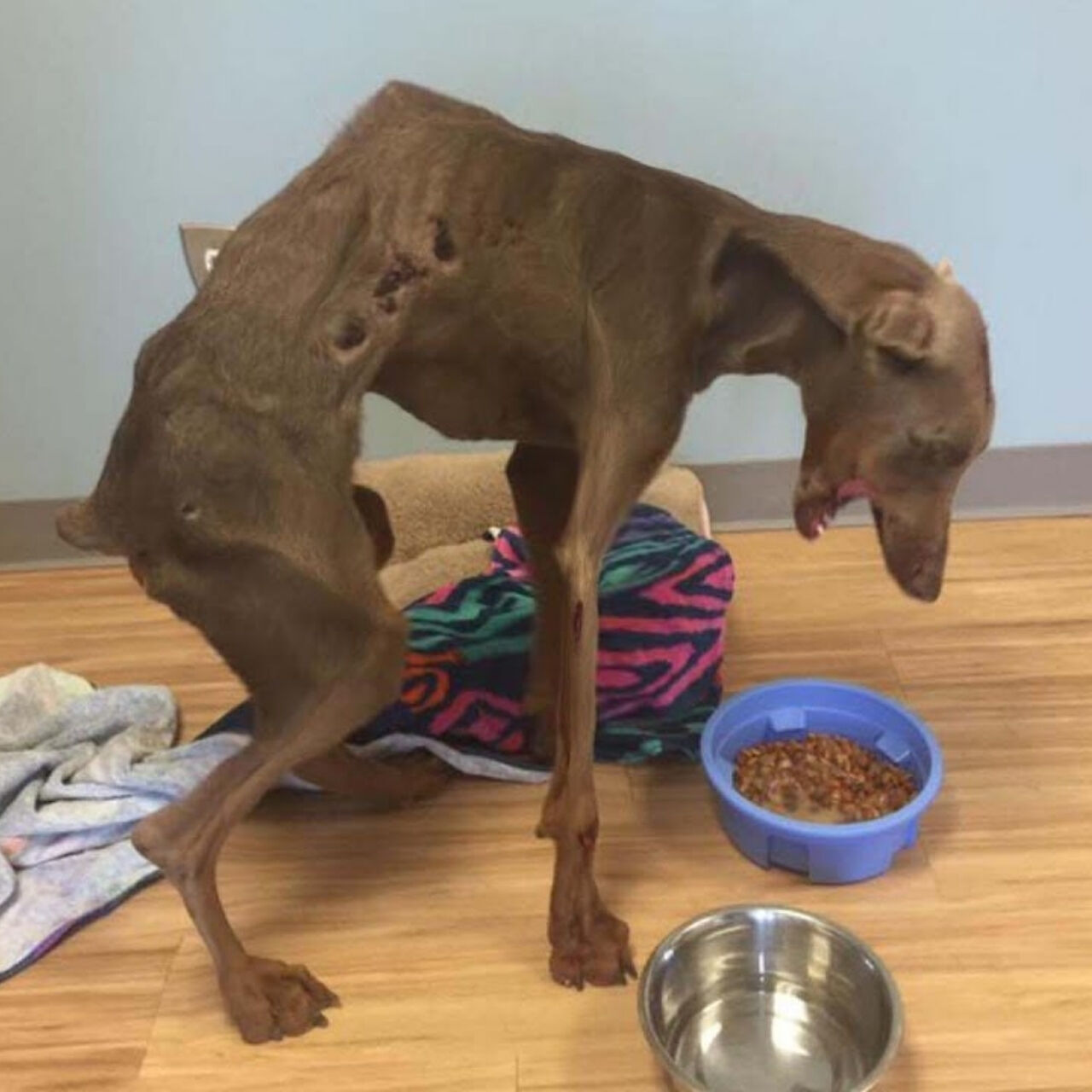 Bent But Not Broken: Spencer’s Unbelievable Journey to a New Life