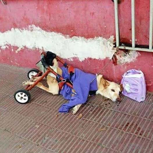 From Abandonment to Love: Lunita’s Inspiring Journey