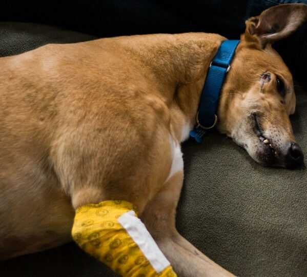 An “Angel” Among Us!