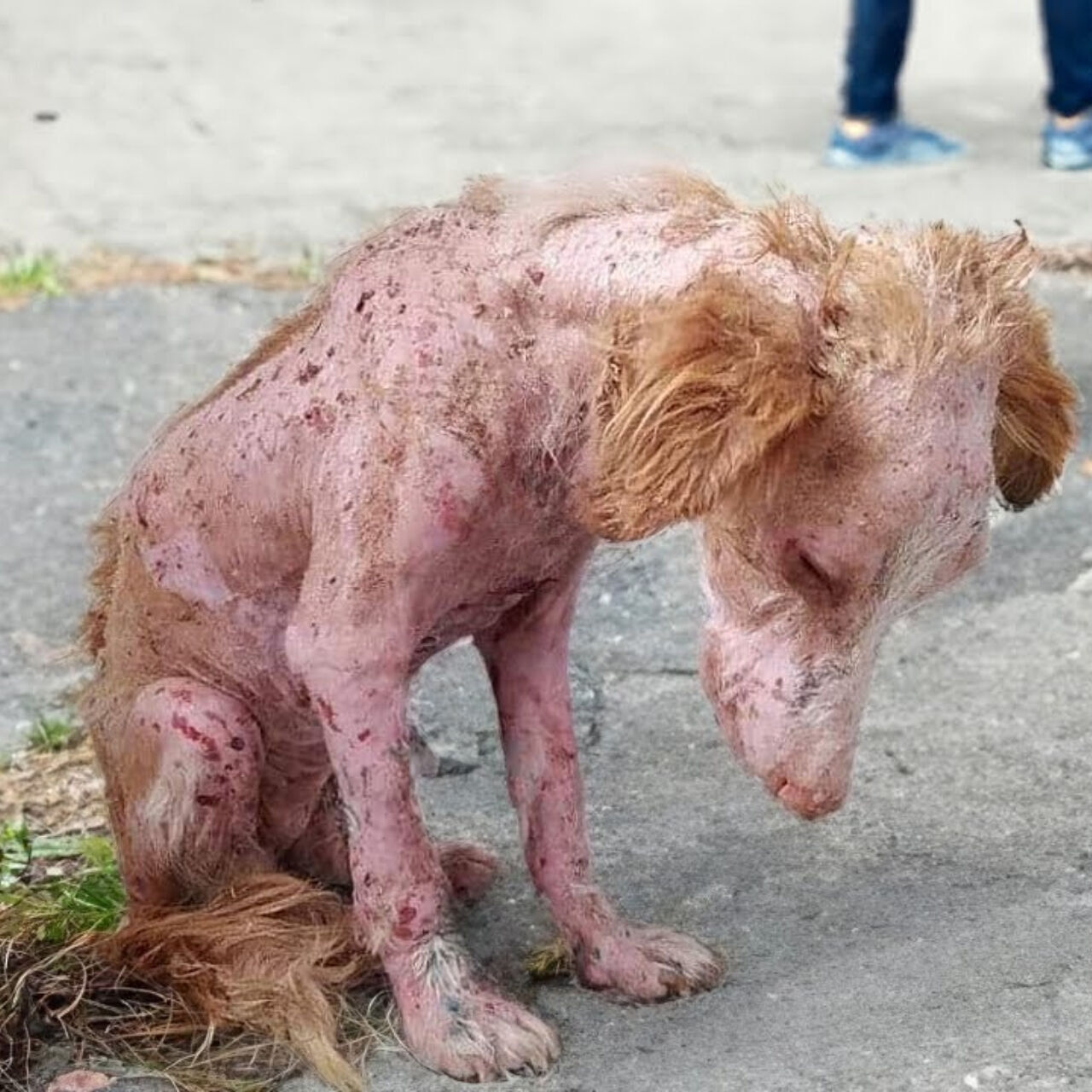 Left Behind but Not Broken: Orinoko’s Journey to Love