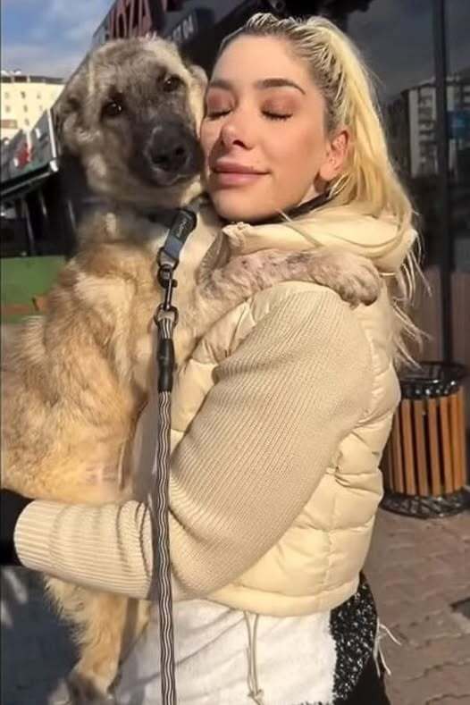 Fearful Crying Dog Abandoned By Owners And Tied To A Fence Learns What Happiness Looks Like