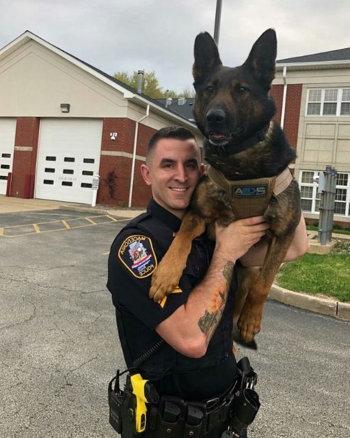 HE HELD HIS K9 PARTNER WITH A SMILE—BUT THE STORY BEHIND THIS PHOTO WILL BREAK YOU