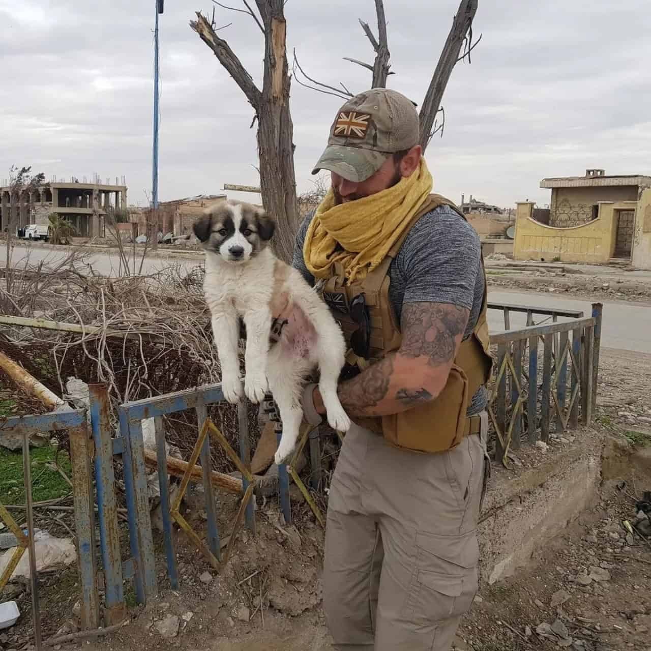Soldier Rescues Stray Dog in Syria, Creating a Lifelong Bond of Love and Healing