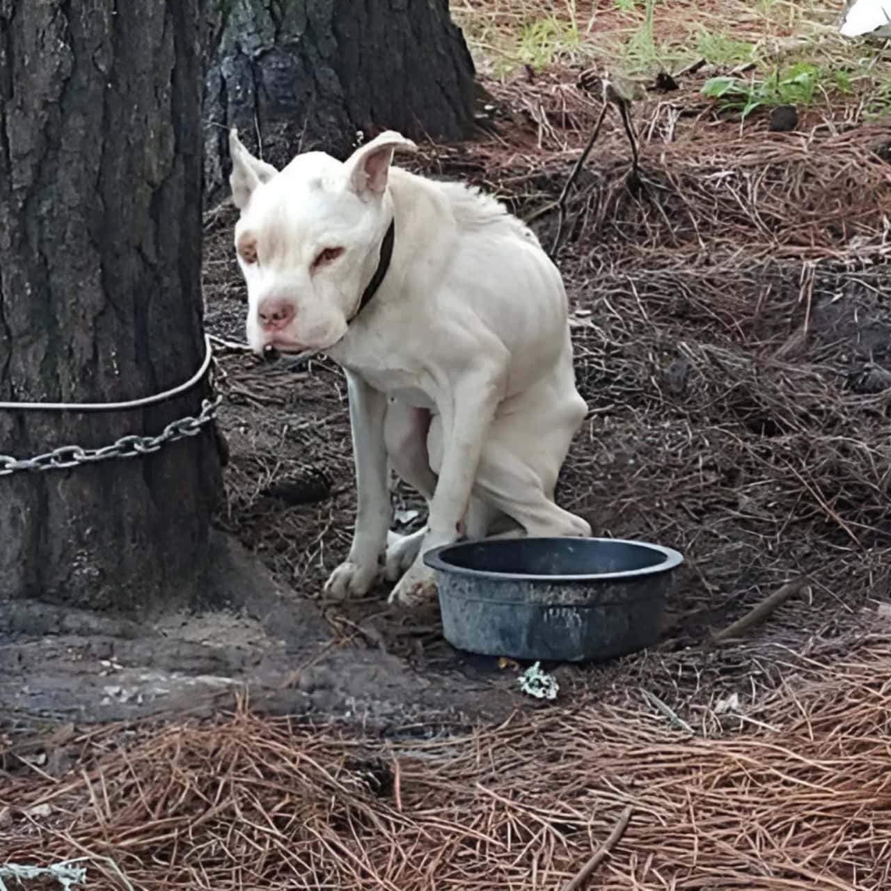 A Solitary Birthday: No Celebrations, But a Heart Full of Hope