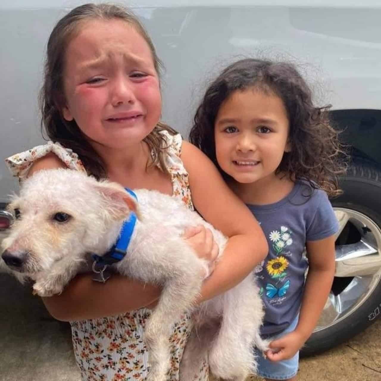 Overwhelmed with Joy: A Young Boy Reunites with His Long-Lost Dog
