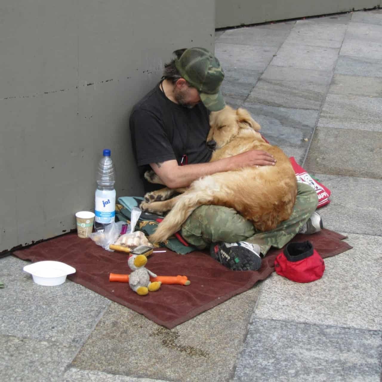 The Unwavering Devotion of a Dog That Stays by Its Homeless Owner’s Side Captivates Millions