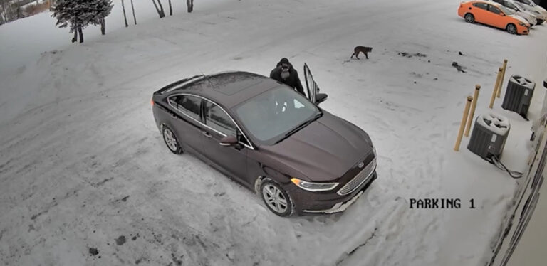 Camera Footage Caught Michigan Owner Dumping His Pup At Parking Lot In Freezing Snow…(Full story in the first cᴑmment)