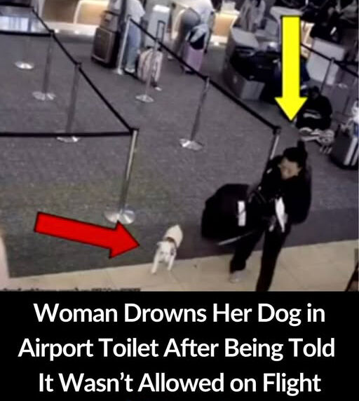 Florida Woman Takes Drastic Action When Denied Boarding With Pet