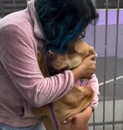Witness This Heartbroken Dog’s Reaction After Receiving Sweetest Hug From One Of His California Rescuers