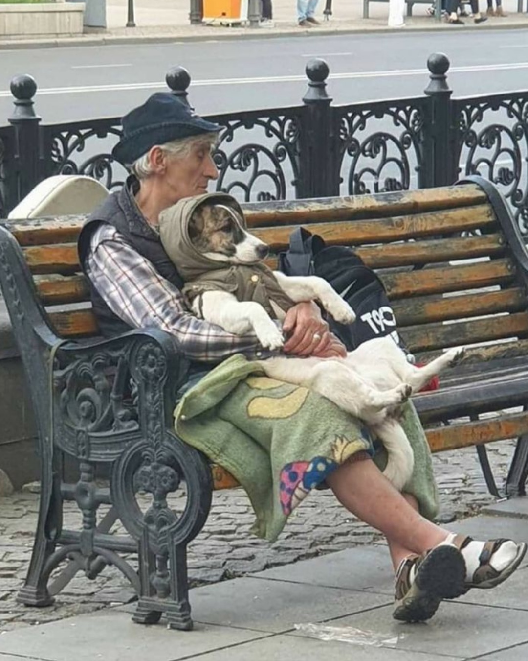 “Operation Tractor: Captain Whiskers’ Plan for Power”.