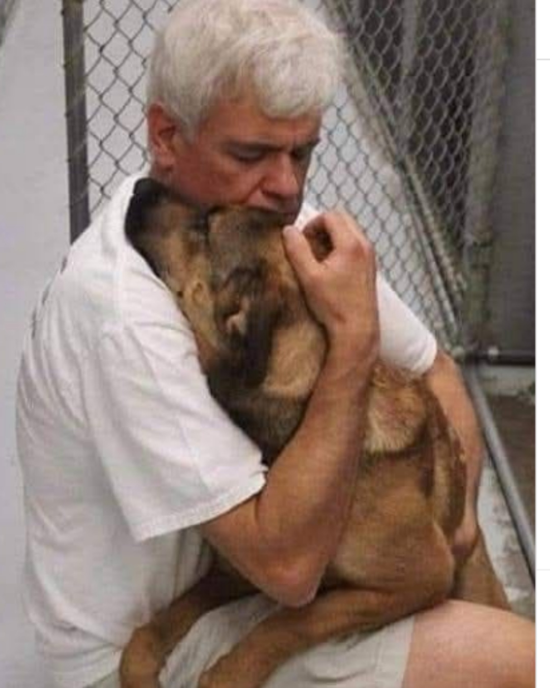 From Forgotten to Forever: The Shelter Dog Who Finally Found Home.