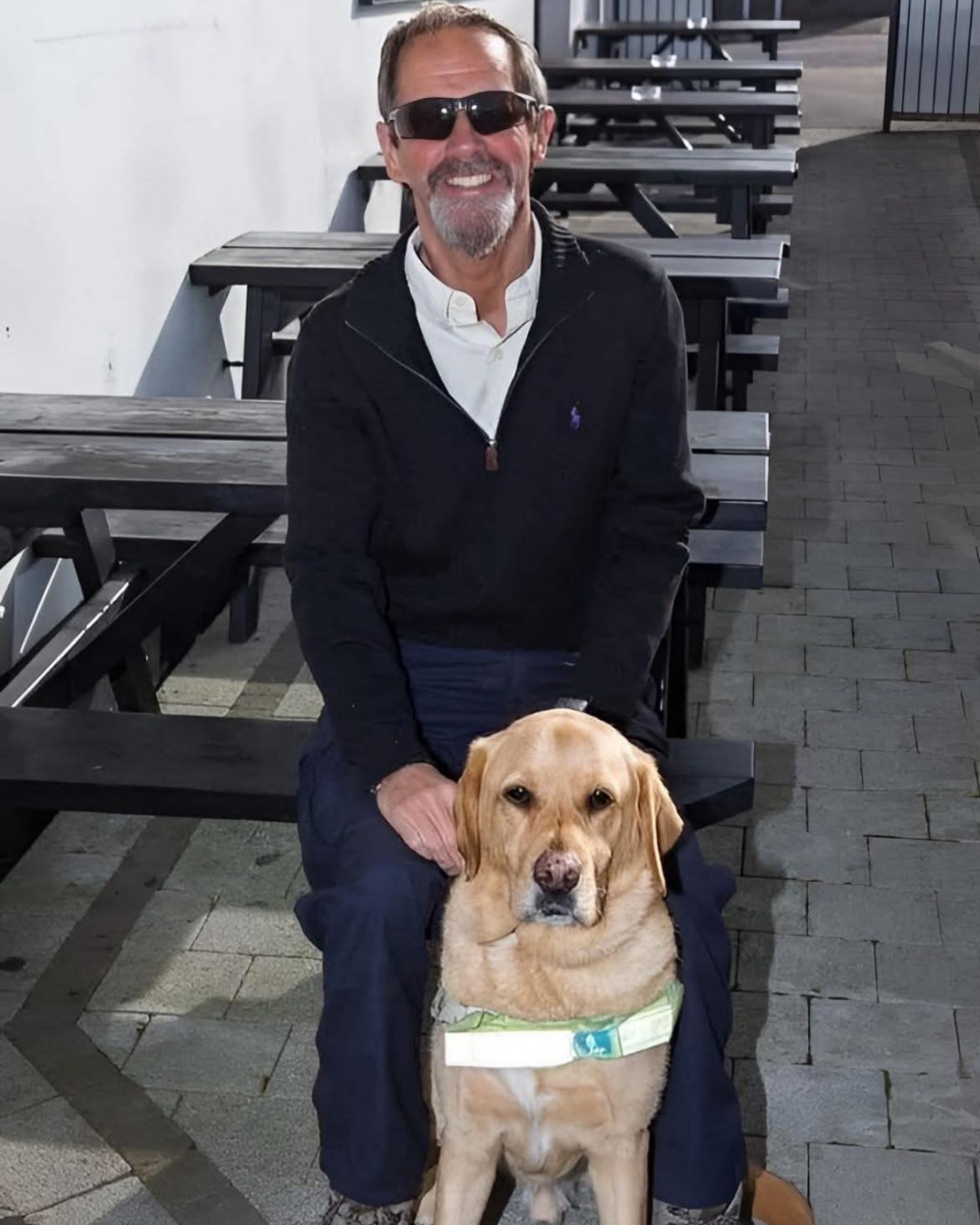 “The Pilot and the Seeing Eye Dog: A Lesson in Perception”.