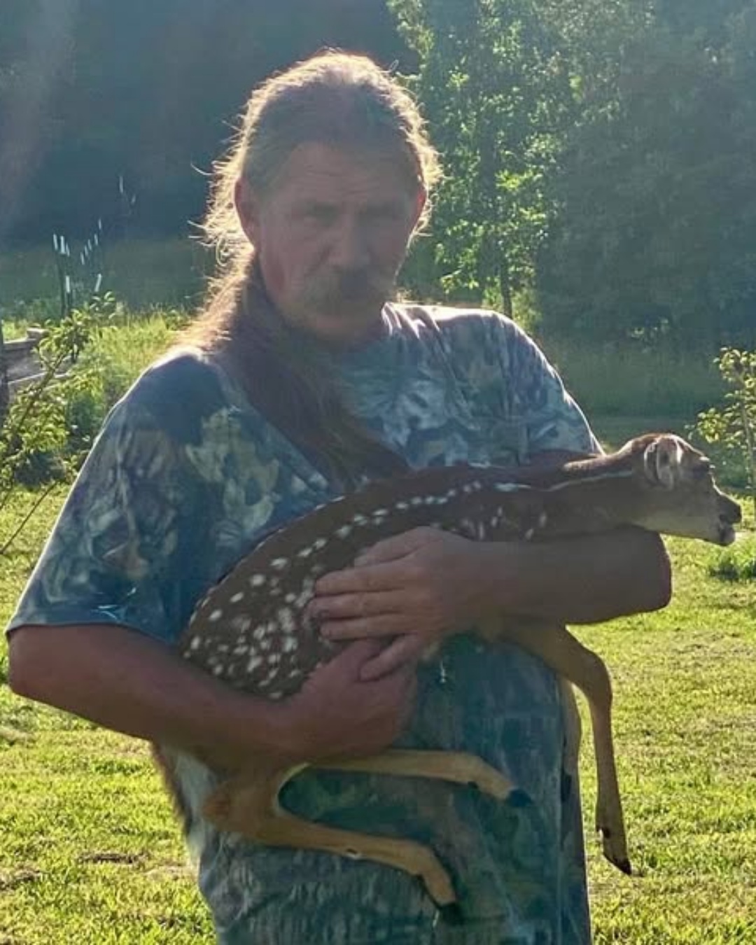 The Baby Fawn, the Ticks, and the Driveway Miracle.