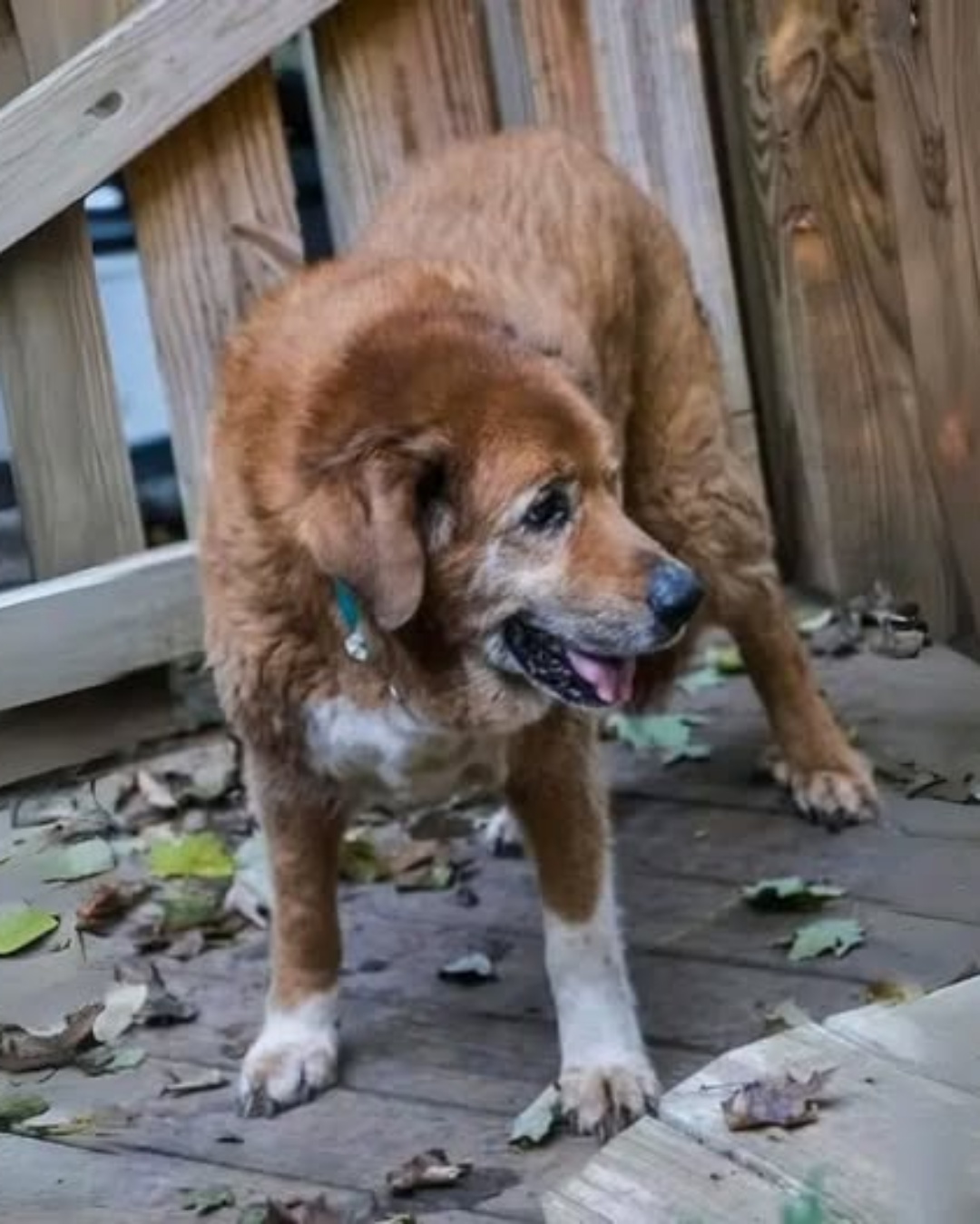 “Because Every Broken Soul Deserves a Second Chance”.