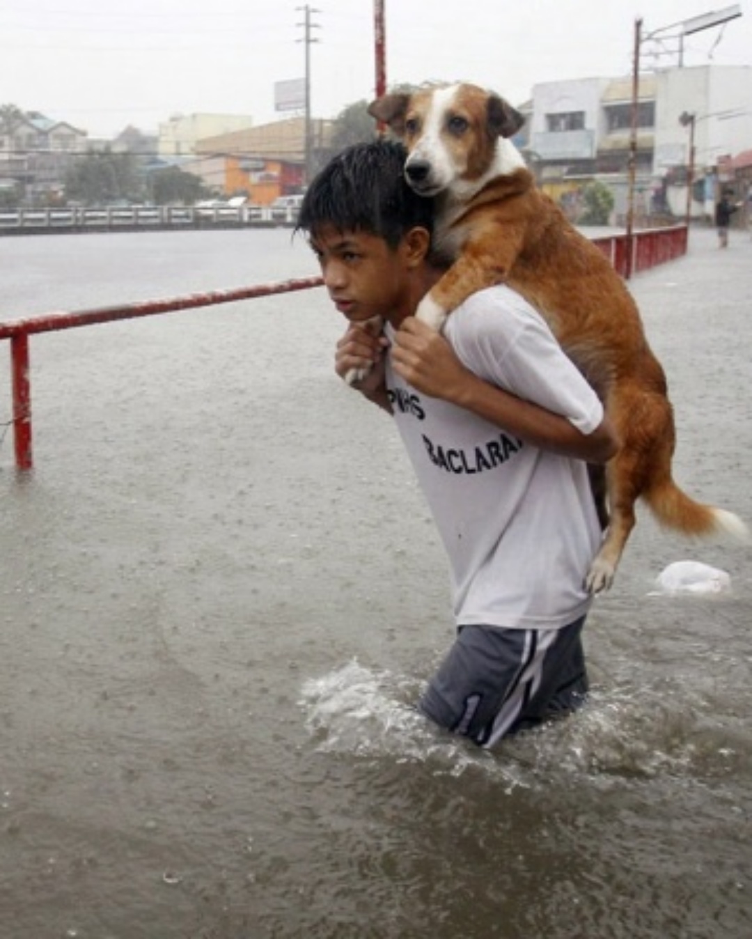 “Ethan and the Storm: The Boy Who Saved a Forgotten Life”.