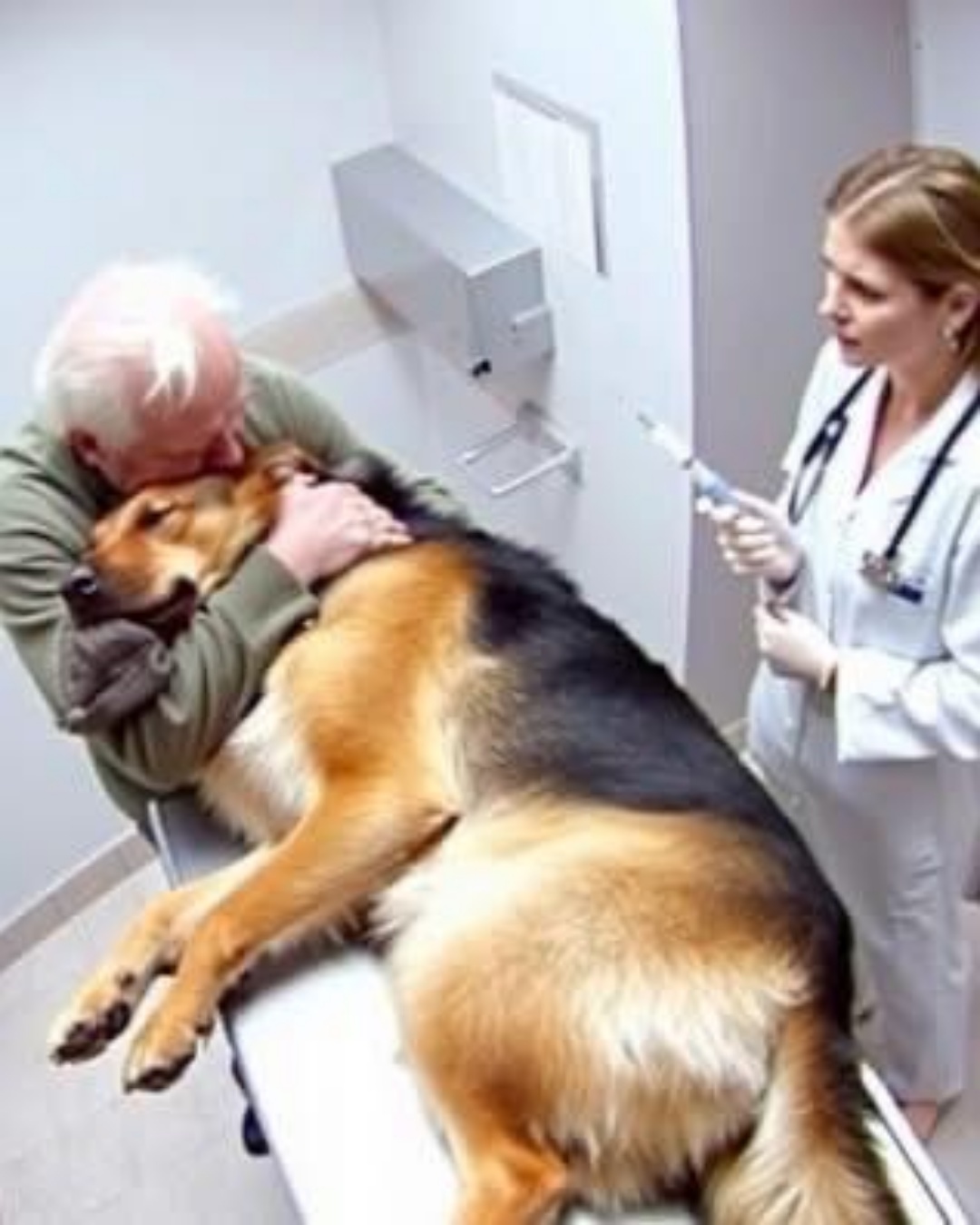 “The Dog Who Refused to Leave His Human Behind”.