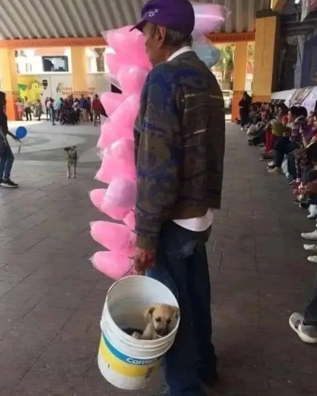 “Sweetness and Loyalty: The Man Who Never Leaves His Dog Behind”.